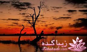 حرفای ناب خودمانی